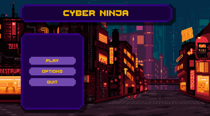 Cyber Ninja